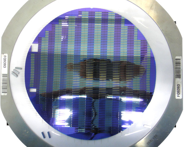 ��v���и�